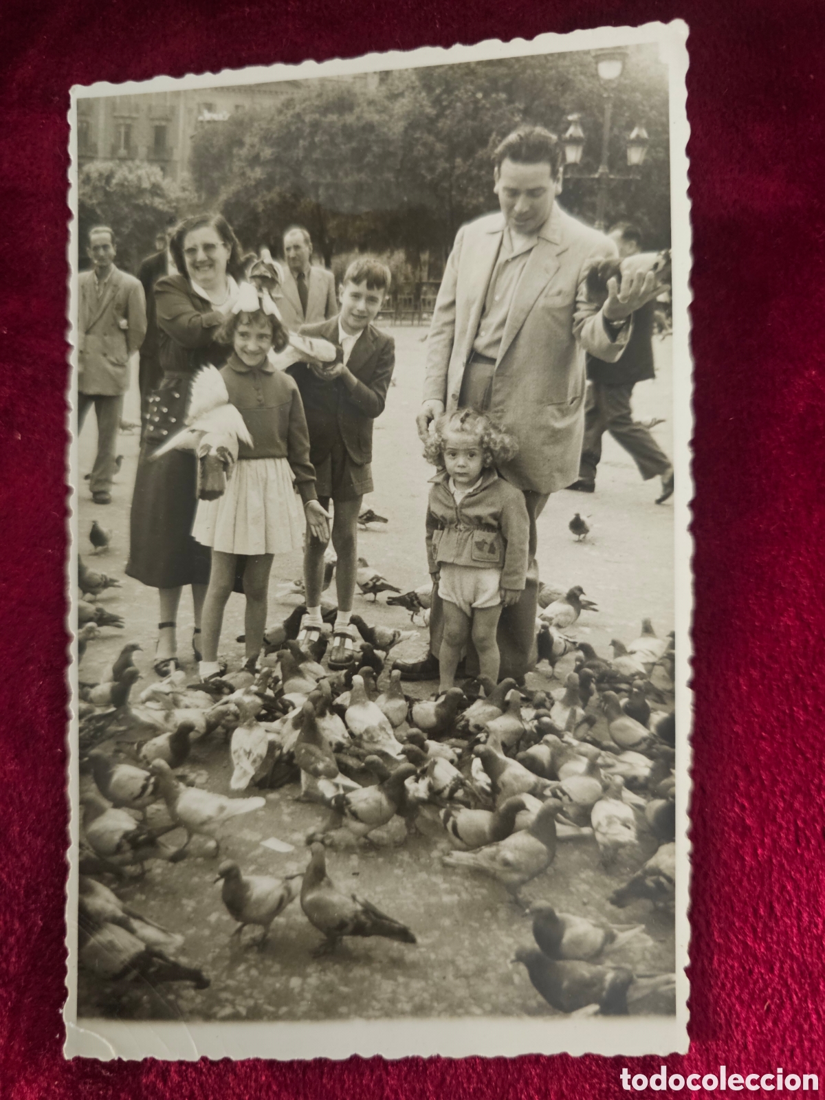 Fotograf&iacute;a antigua: ​Fotograf&iacute;a Antigua Barcelona 1953 - Familia y Palomas en Plaza Catalunya - Foto Dosa (8x11 cm)
