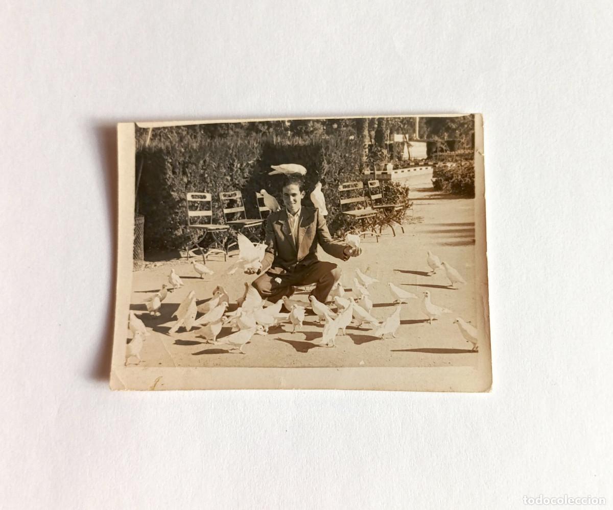 Fotograf&iacute;a antigua: Fotograf&iacute;a antigua - Hombre joven con palomas en el Parque de Mar&iacute;a Luisa de Sevilla - A&ntilde;os 50