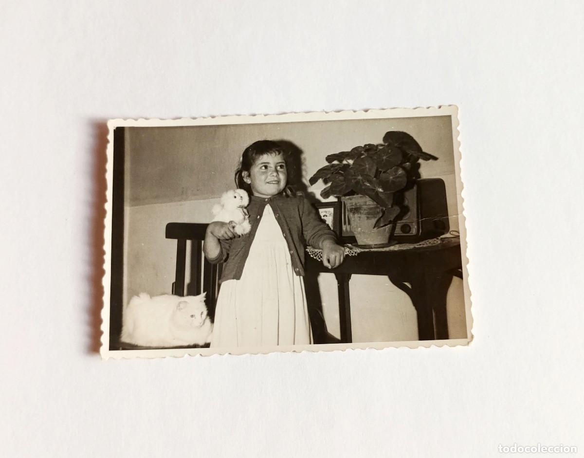 Fotograf&iacute;a antigua: Fotograf&iacute;a antigua - Ni&ntilde;a con gato de angora y perro de peluche ante radio de v&aacute;lvulas - A&ntilde;o 1958