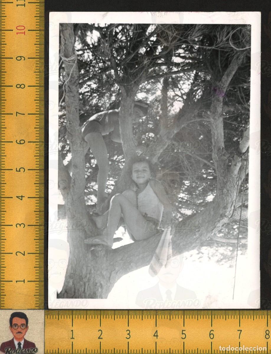 Fotograf&iacute;a antigua: NI&Ntilde;AS TREPANDO &Aacute;RBOL PINO SENTADAS EN RAMAS SONRIENDO JUEGOS INFANCIA FELIZ - FOTO ANTIGUA A&Ntilde;OS 60