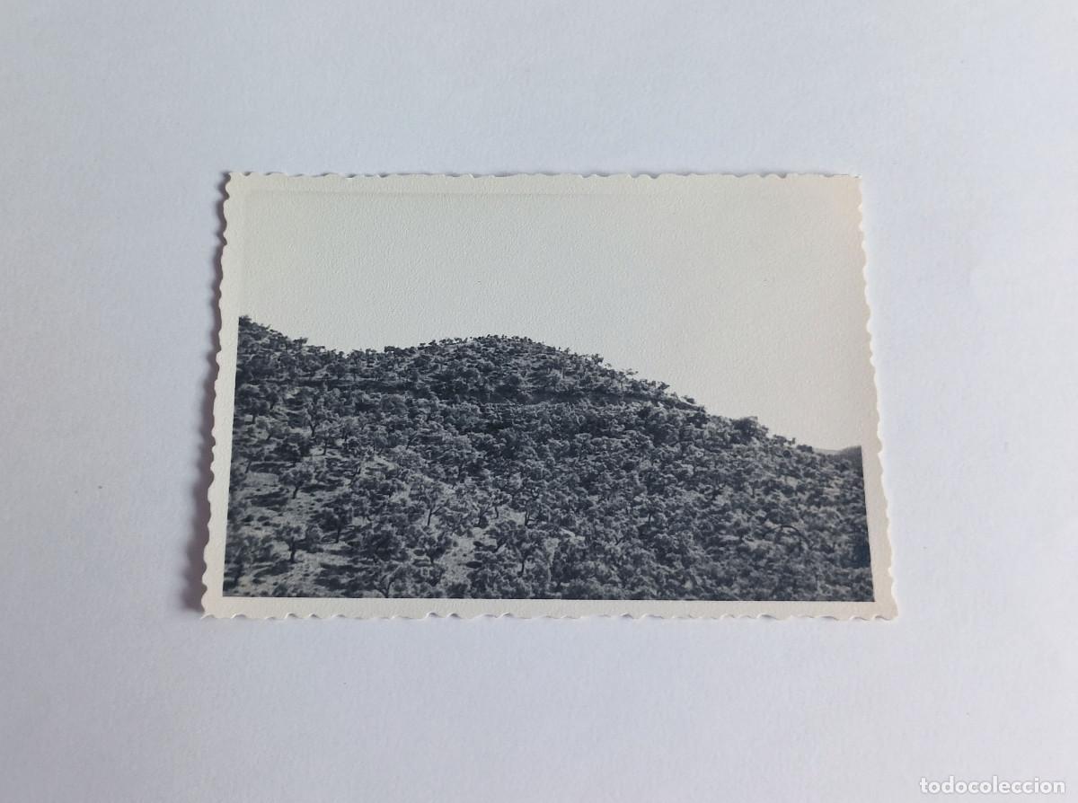 Fotograf&iacute;a antigua: Fotograf&iacute;a antigua - Paisaje de la Sierra Norte de Sevilla (Sierra Morena) (Espa&ntilde;a) - A&ntilde;o 1958