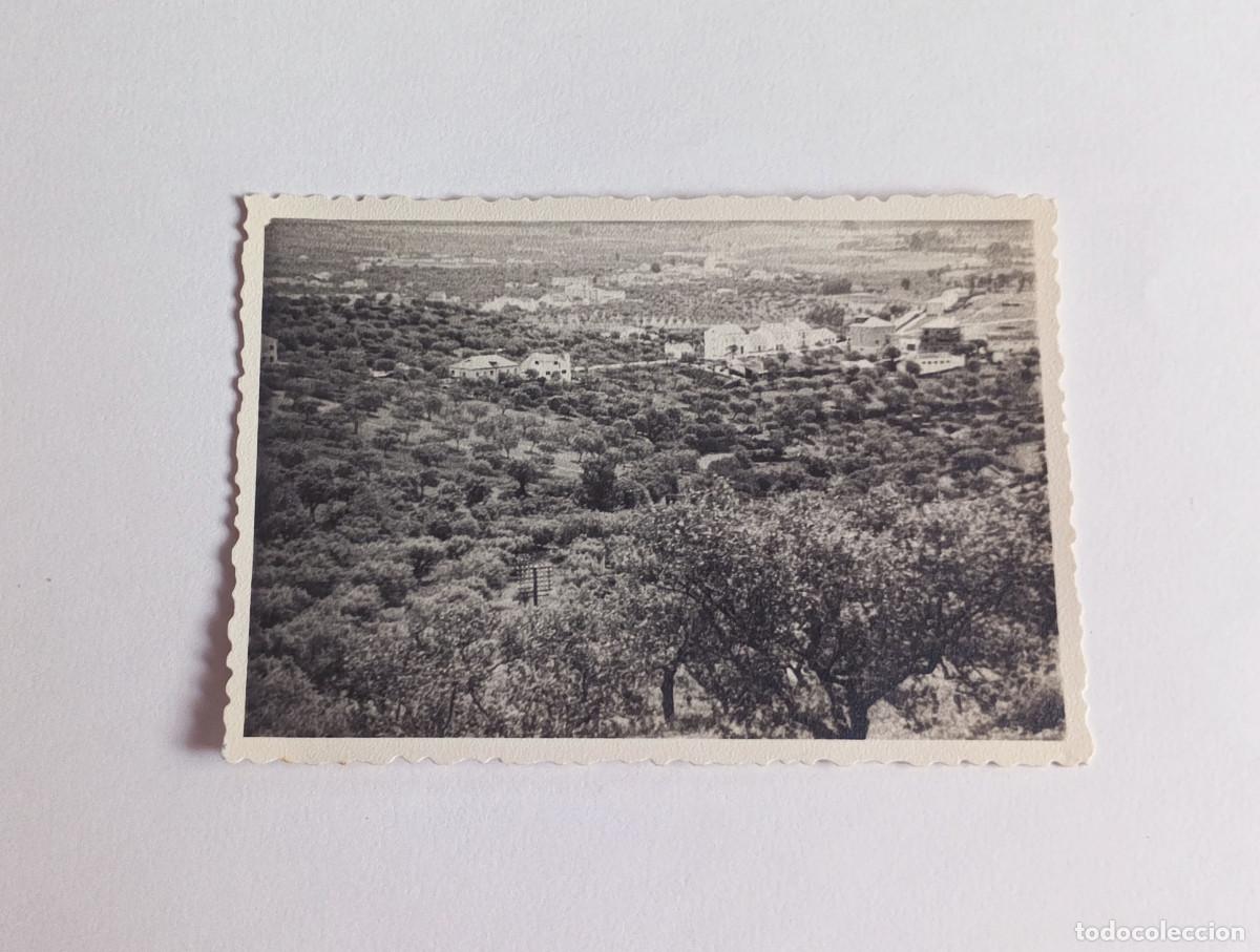 Fotograf&iacute;a antigua: Fotograf&iacute;a antigua - Paisaje rural, posiblemente de Sevilla o Badajoz (Espa&ntilde;a) - A&ntilde;o 1958