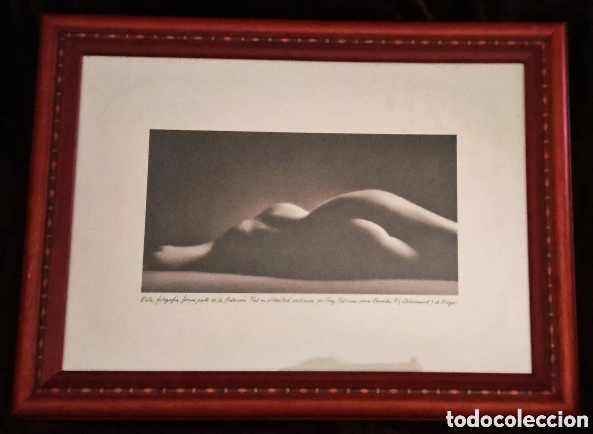 Fotograf&iacute;a antigua: FOTOGRAF&Iacute;A / CAMPA&Ntilde;A PUBLICITARIA DE BAYER: &rdquo;PIEL EN LIBERTAD&rdquo; (1998). ENMARCADA