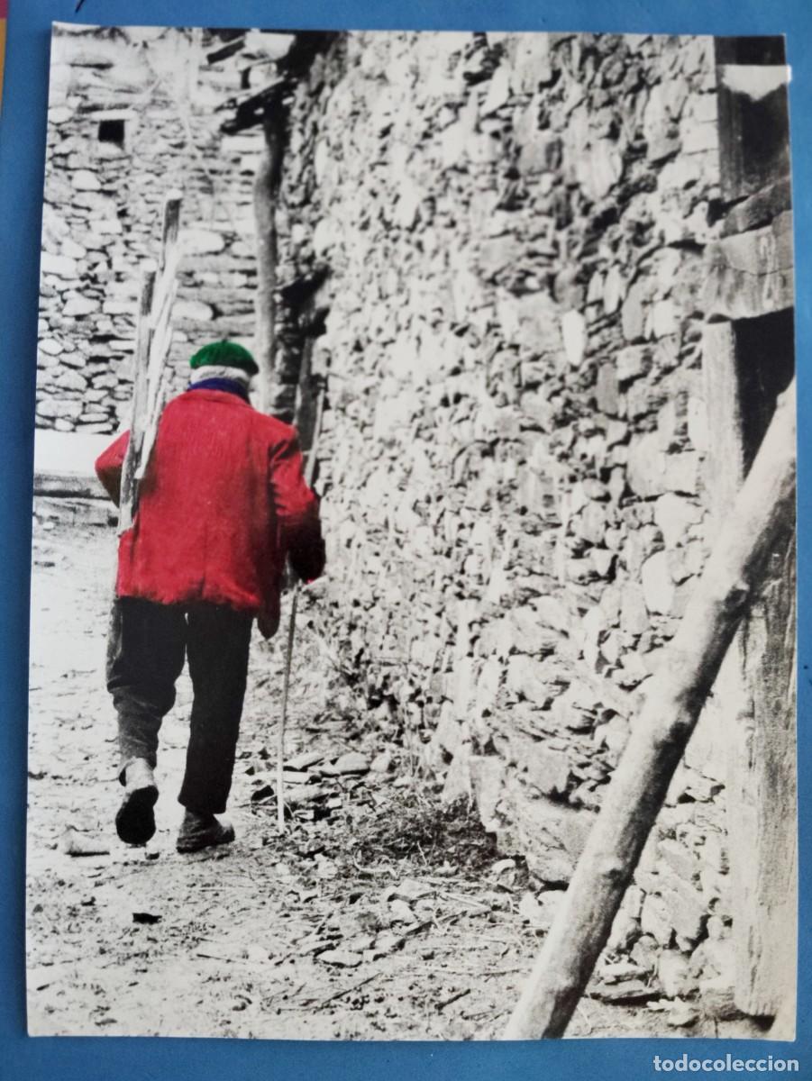 Fotograf&iacute;a antigua: FOTO ILUMINADA A&Ntilde;OS 70...ENVIO INCLUIDO