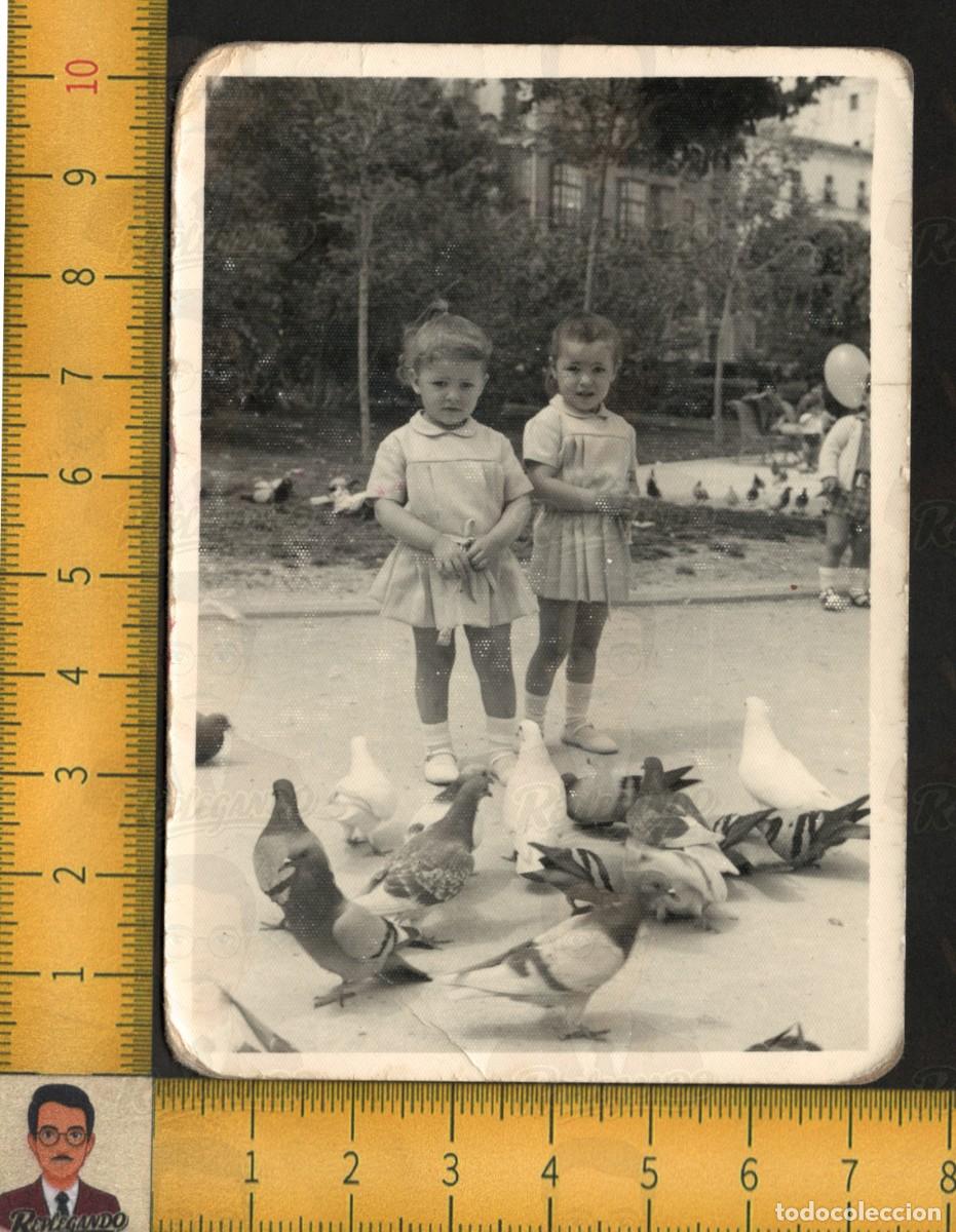 Fotograf&iacute;a antigua: DOS NI&Ntilde;AS CON PALOMAS EN PARQUE - AVES JARD&Iacute;N C&Aacute;DIZ - FOTOGRAF&Iacute;A ANTIGUA ART&Iacute;STICA A&Ntilde;O 1968