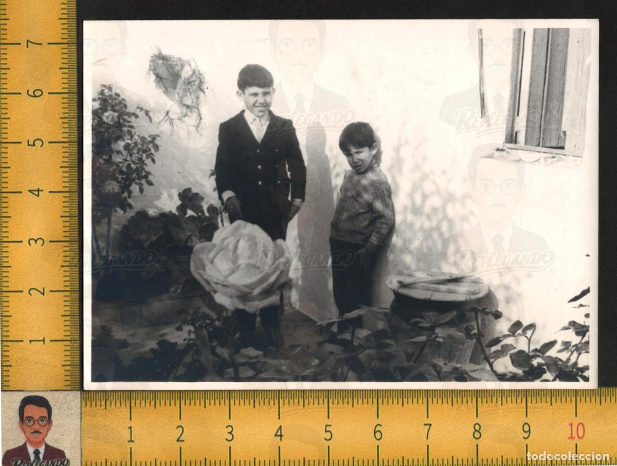 Fotograf&iacute;a antigua: LA ROSA Y LOS HERMANOS - NI&Ntilde;OS JUNTO A ROSAL EN JARD&Iacute;N CASA - FOTOGRAF&Iacute;A ANTIGUA ART&Iacute;STICA A&Ntilde;OS 60