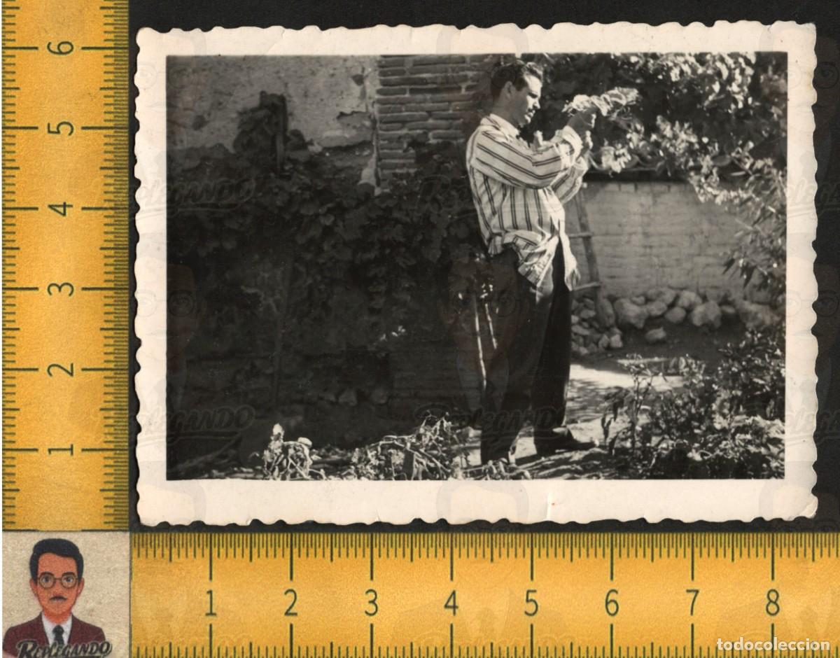 Fotograf&iacute;a antigua: UN REY ENTRE LAS PLANTAS - HOMBRE EN JARD&Iacute;N NATURALEZA - FOTOGRAF&Iacute;A ANTIGUA ART&Iacute;STICA LGTB A&Ntilde;OS 50
