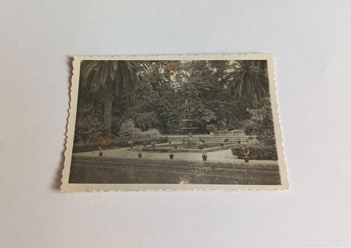 Fotograf&iacute;a antigua: Fotograf&iacute;a antigua - Fuente de alg&uacute;n parque de Sevilla, posiblemente Jardines de Cristina - 1958