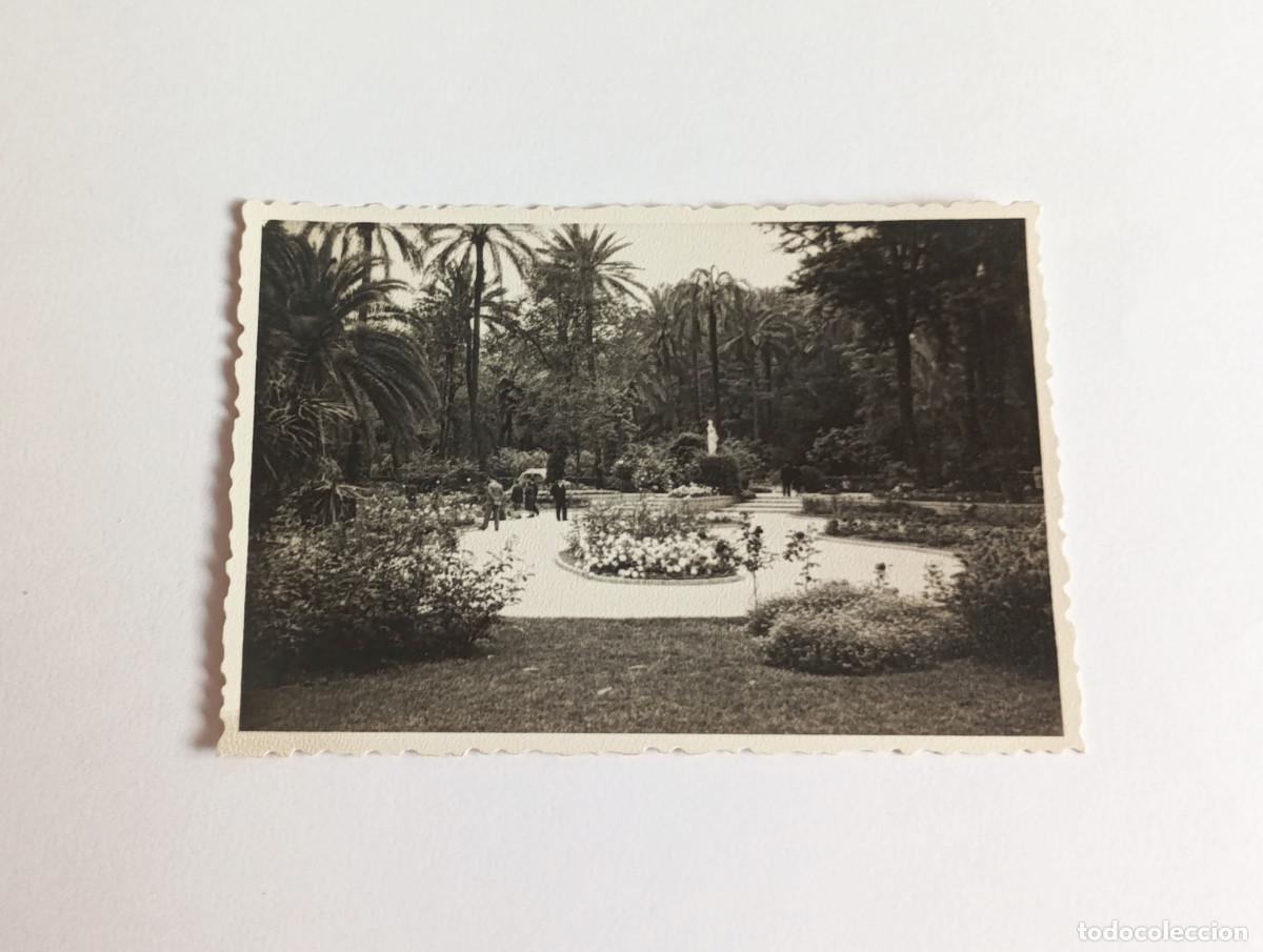 Fotograf&iacute;a antigua: Fotograf&iacute;a antigua - Parque de Mar&iacute;a Luisa de Sevilla - A&ntilde;o 1959