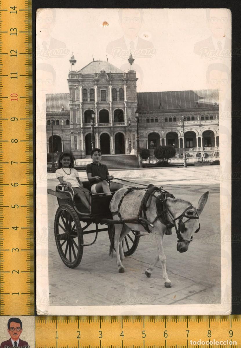 Fotograf&iacute;a antigua: NI&Ntilde;OS EN CARRO CON BURRO - PLAZA DE ESPA&Ntilde;A SEVILLA CARRUAJE TUR&Iacute;STICO - FOTOGRAF&Iacute;A ANTIGUA A&Ntilde;O 1963