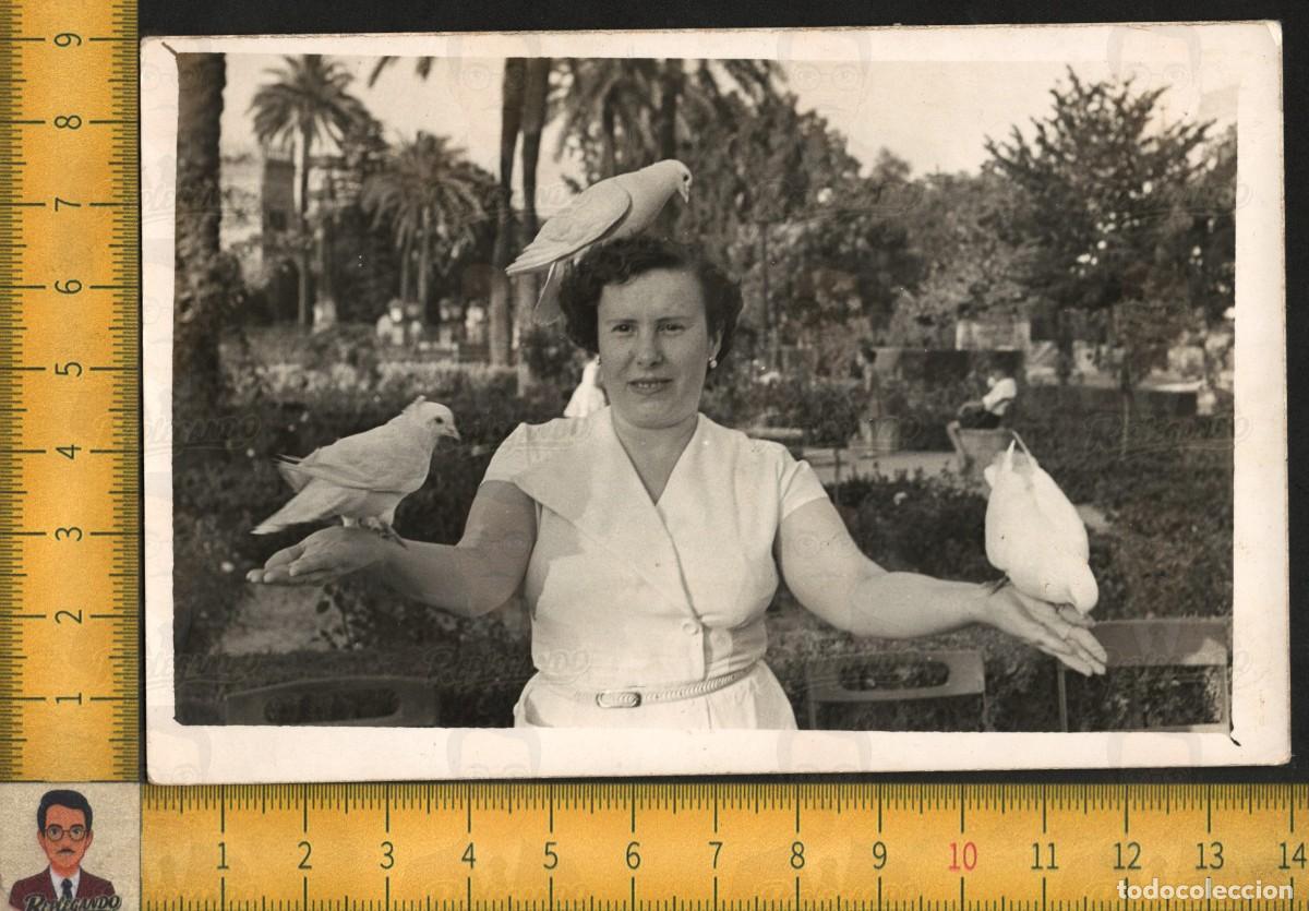 Fotograf&iacute;a antigua: LA REINA DE LAS PALOMAS - MUJER CON PALOMAS PLAZA AM&Eacute;RICA SEVILLA - FOTO ANTIGUA ART&Iacute;STICA A&Ntilde;O 1957