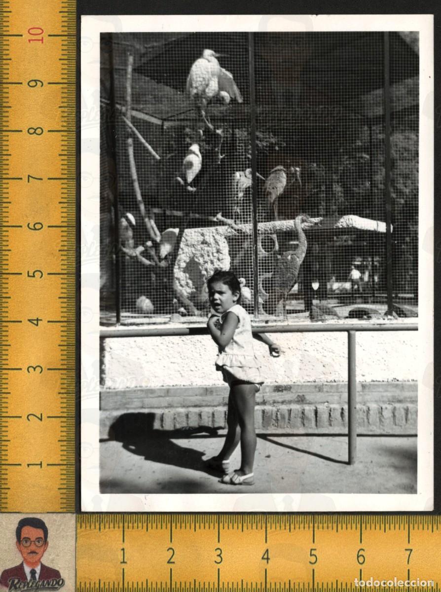 Fotograf&iacute;a antigua: PARQUE BLANCANIEVES - NI&Ntilde;A PAJARERA BUITRE LEONADO GARZA - FOTO ANTIGUA MAR&Iacute;A LUISA SEVILLA A&Ntilde;O 1970