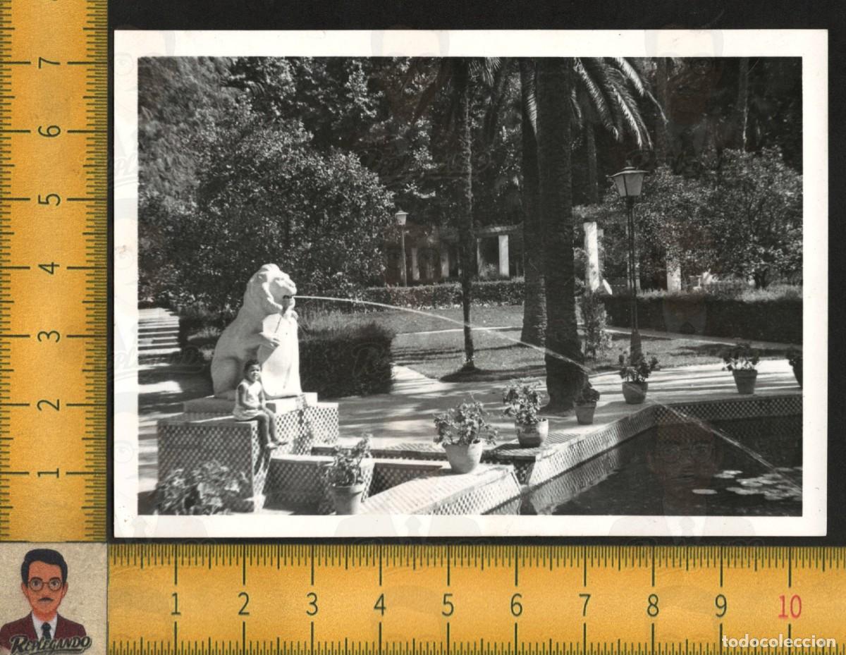Fotograf&iacute;a antigua: NI&Ntilde;A JUNTO LE&Oacute;N FUENTE - PARQUE MAR&Iacute;A LUISA PALMERAS - FOTOGRAF&Iacute;A ANTIGUA ART&Iacute;STICA SEVILLA A&Ntilde;O 1970