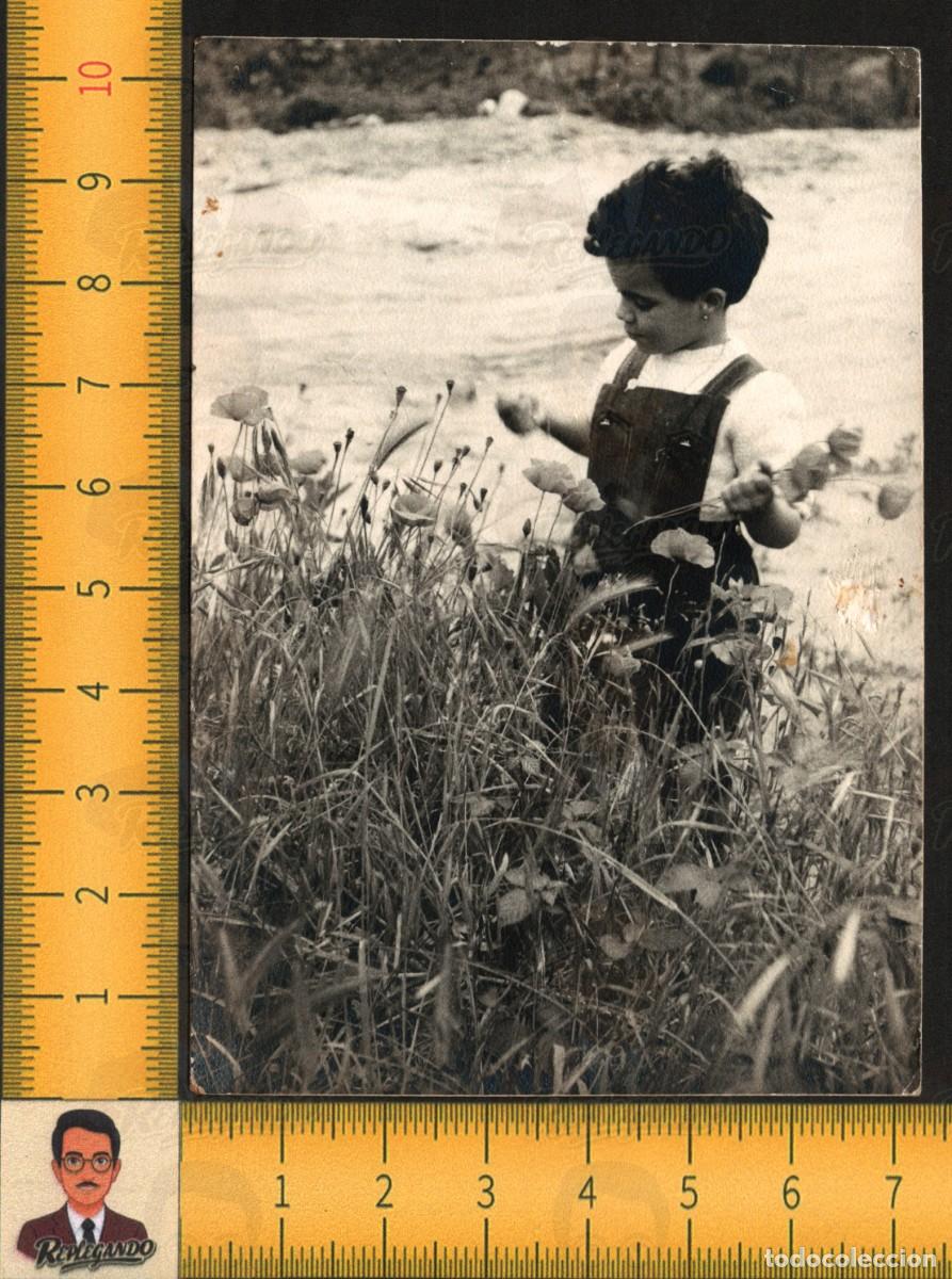 Fotograf&iacute;a antigua: LA NI&Ntilde;A DE LAS AMAPOLAS - FLORES NATURALEZA INFANCIA PETO - FOTOGRAF&Iacute;A ANTIGUA ART&Iacute;STICA A&Ntilde;OS 50/60