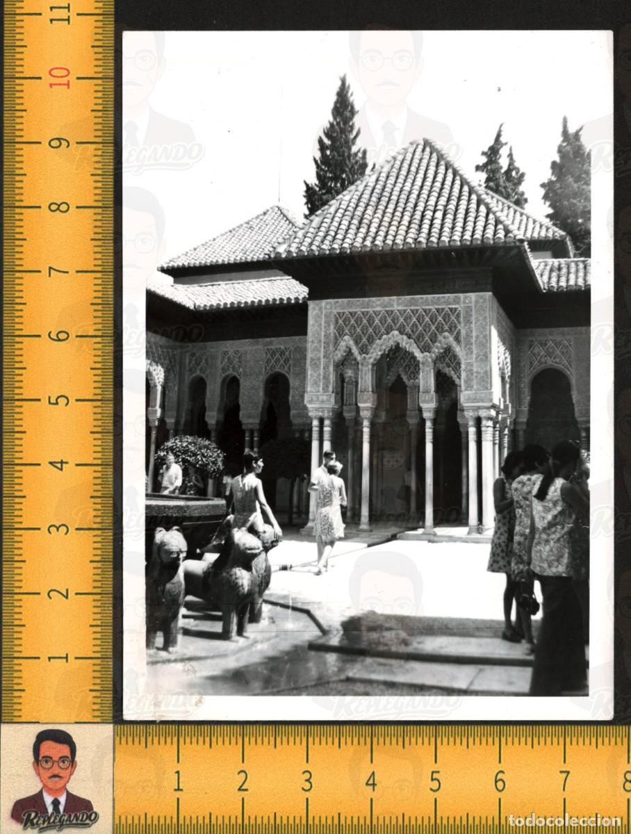 Fotograf&iacute;a antigua: ALHAMBRA (GRANADA) : VISTA PATIO DE LOS LEONES PALACIOS NAZAR&Iacute;ES - TURISTAS - FOTO ANTIGUA A&Ntilde;OS 60