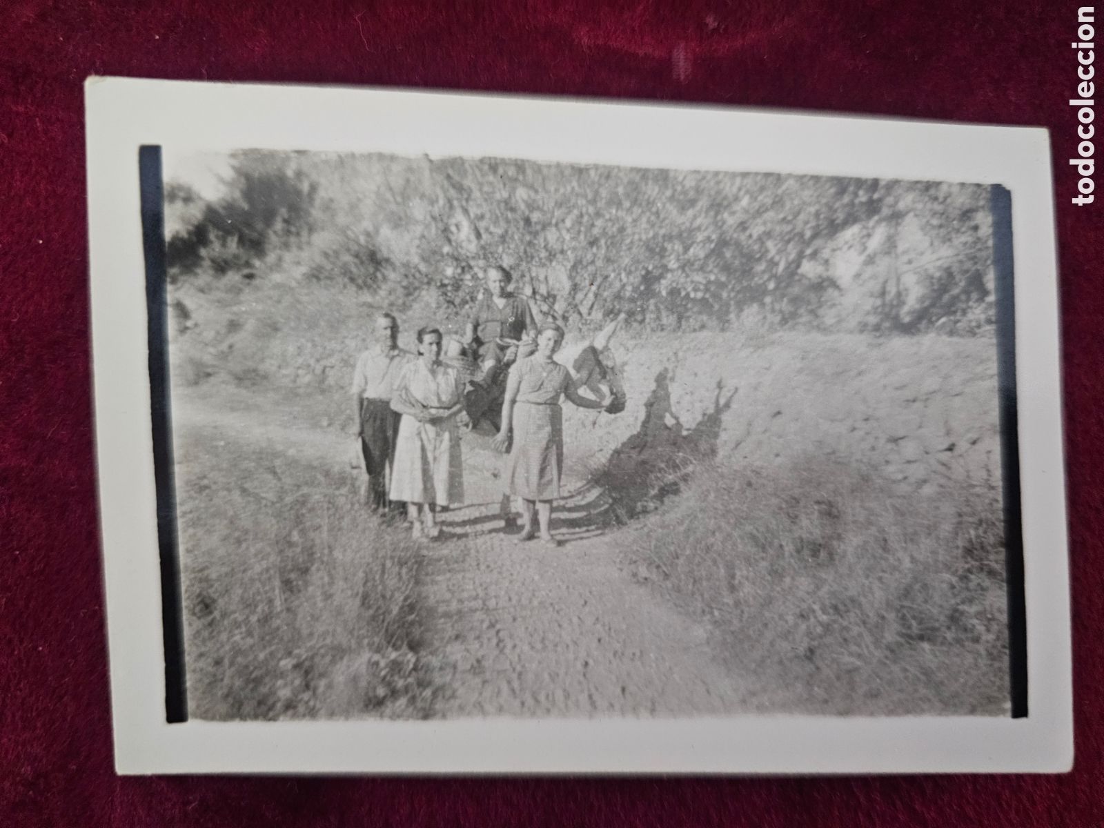 Fotograf&iacute;a antigua: ​Fotograf&iacute;a antigua de &eacute;poca (c. 1940-1950) &ndash; Gente del campo en camino rural con burro / Escena cos