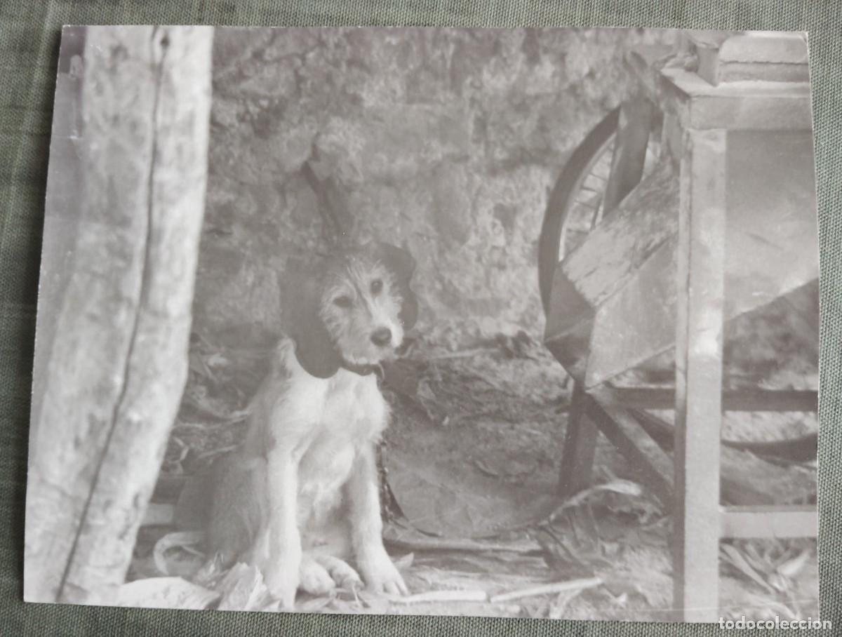 Fotograf&iacute;a antigua: FOTO ANALOGICA.A&Ntilde;OS 70..EL ENVIO ESTA INCLUIDO