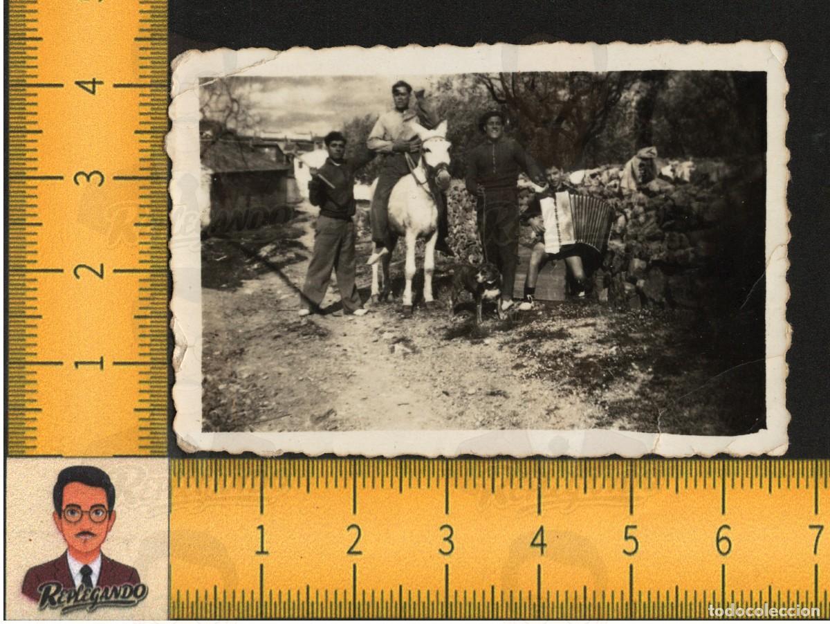 Fotograf&iacute;a antigua: GRUPO J&Oacute;VENES CAMPO - HOMBRE CABALLO NI&Ntilde;O ACORDE&Oacute;N - PERRO BOINA AZADA - FOTO ANTIGUA A&Ntilde;OS 50