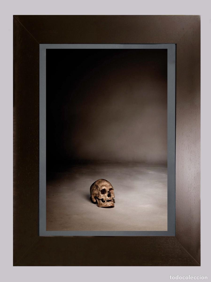 Fotograf&iacute;a antigua: Fotograf&iacute;a contempor&aacute;nea bodeg&oacute;n con cr&aacute;neo calavera memento mori