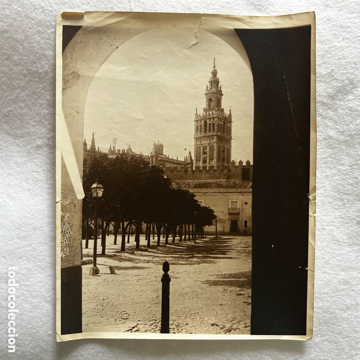 Fotograf&iacute;a antigua: FOTOGRAF&Iacute;A PATIO DE BANDERAS / SEVILLA