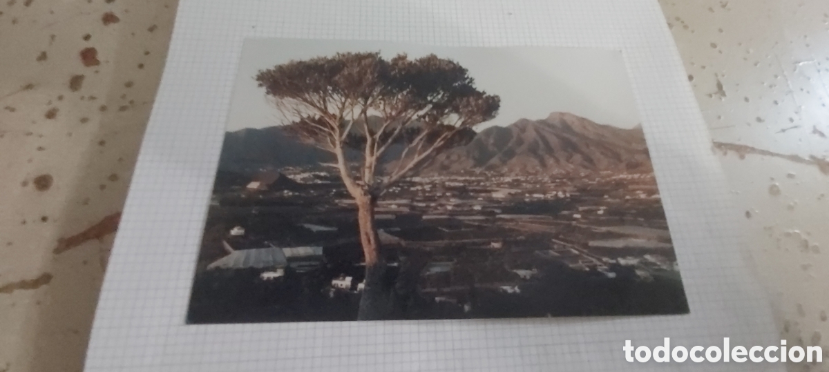 Fotograf&iacute;a antigua: FOTO MONTA&Ntilde;A DE TODOQUE. ISLA DE LA PALMA