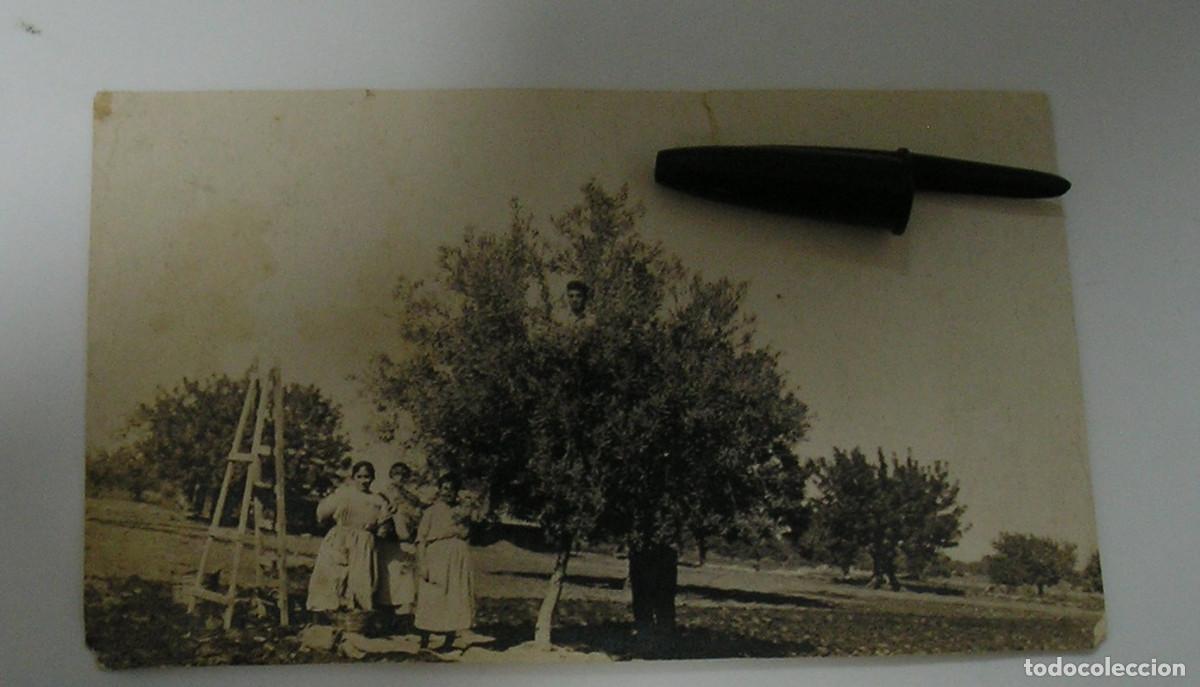 Fotograf&iacute;a antigua: ANTIGUA FOTO FOTOGRAFIA LA ESPA&Ntilde;A DEL SIGLO PASADO LA COVA A&Ntilde;OS 20 (26-12)