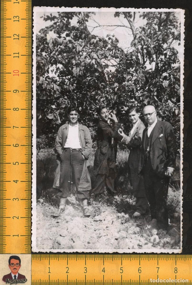 Fotograf&iacute;a antigua: CUATRO HOMBRES AMIGOS RECOGIENDO FRUTA &Aacute;RBOLES - HUERTO CAMPO - FOTO ANTIGUA VALENCIA A&Ntilde;OS 50
