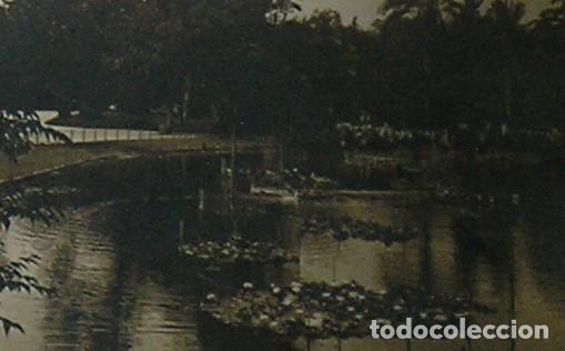 Fotograf&iacute;a antigua: ANTIGUA FOTO FOTOGRAFIA LA ESPA&Ntilde;A DEL SIGLO PASADO LOTE 3 FOTOS SIN IDENTIFICAR (26-12)