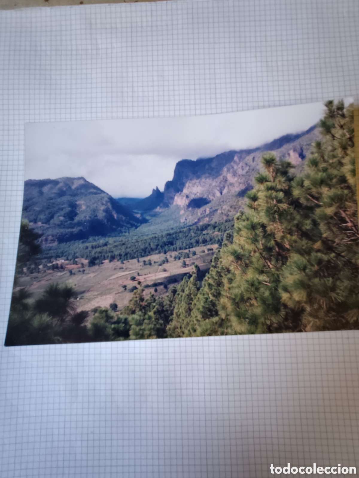 Fotograf&iacute;a antigua: FOTO BEJENARO. CUMBRES NUEVA y VIEJA. ISLA DE LA PALMA