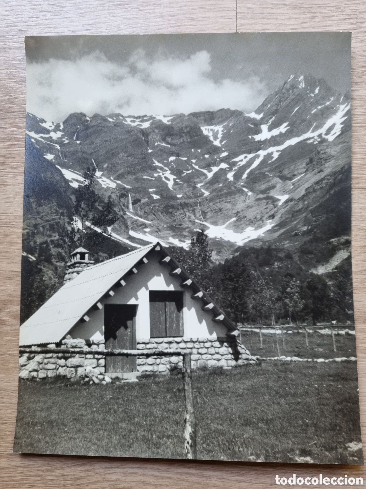 Antique Photography: Gran fotografia antigua. Caba&ntilde;a entre monta&ntilde;as. 24 x 30 cm. Blanco y negro.