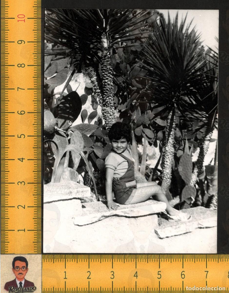 Fotograf&iacute;a antigua: NI&Ntilde;A SONRIENTE POSA JARD&Iacute;N PALMERAS CACTUS - FOTOGRAF&Iacute;A ANTIGUA INFANCIA OSUNA SEVILLA A&Ntilde;O 1971