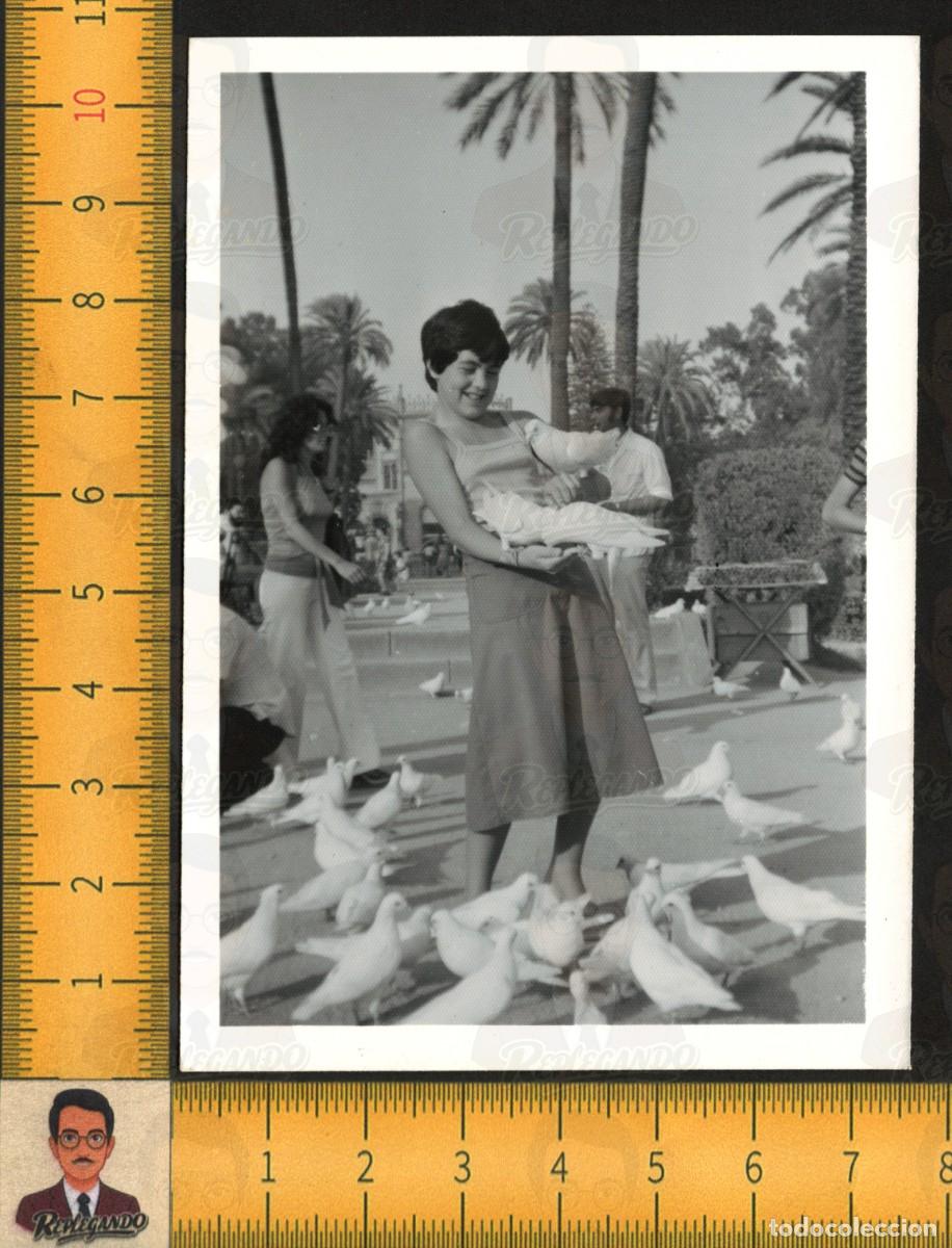 Fotograf&iacute;a antigua: NI&Ntilde;A SONRIENTE ALIMENTA PALOMAS - PARQUE PALMERAS - FOTOGRAF&Iacute;A ANTIGUA SEVILLA A&Ntilde;OS 60/70