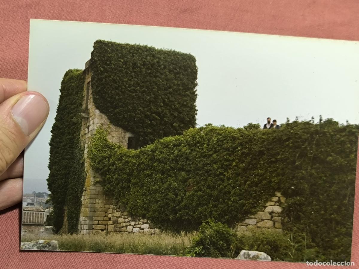 Fotografia antica: Antigua Fotograf&iacute;a Ruinas Naturalizadas Coleccionismo