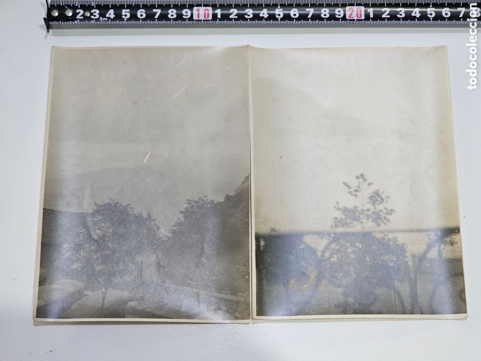 Antique Photography: ​Lote de 2 Fotograf&iacute;as Antiguas &Eacute;poca / Vistas de Paisaje Arbolado 1920s Probablemente Catalunya