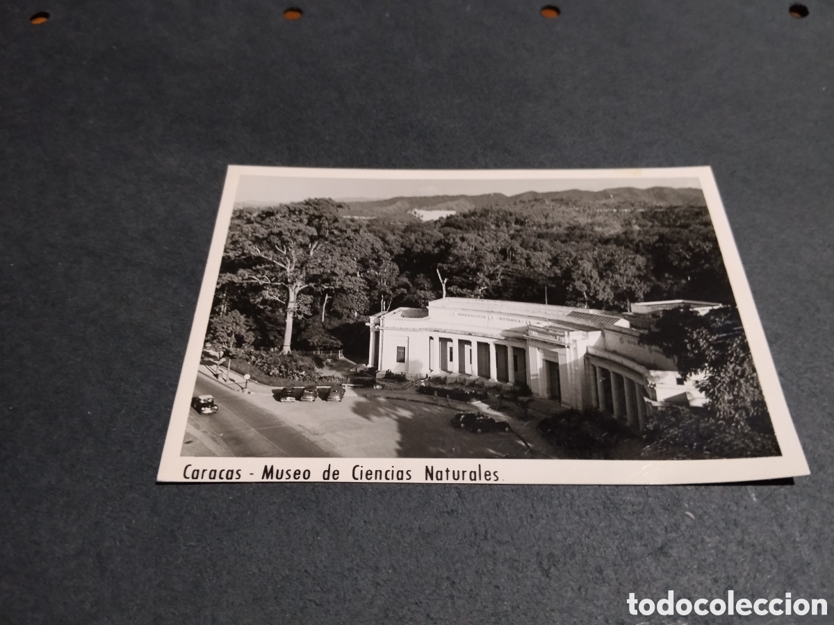 Fotografia antica: Fotograf&iacute;a Caracas, museo de ciencias naturales