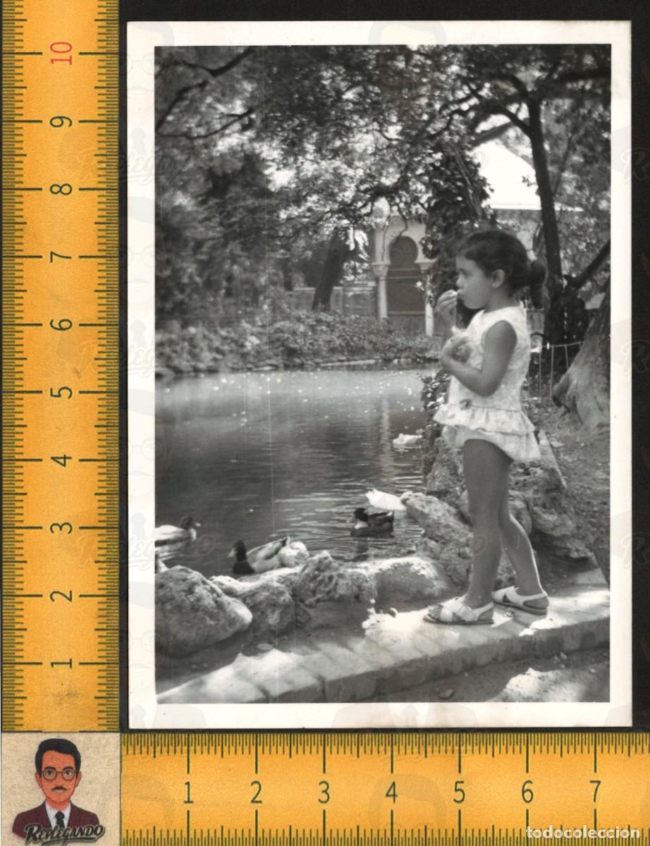 Fotografia antiga: NI&Ntilde;A ALIMENTA PATOS ESTANQUE - ISLETA PARQUE MAR&Iacute;A LUISA SEVILLA - JARDINES FOTO ANTIGUA A&Ntilde;O 1970