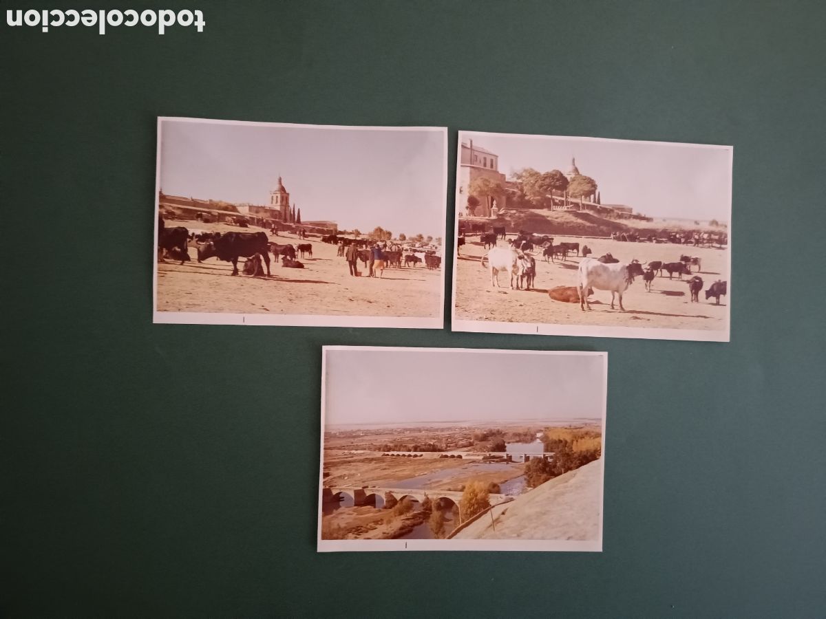 Fotografia antica: 3 FOTOGRAF&Iacute;AS DE CIUDAD RODRIGO- A&Ntilde;OS 60 - 10,5x7,5cm aprox.