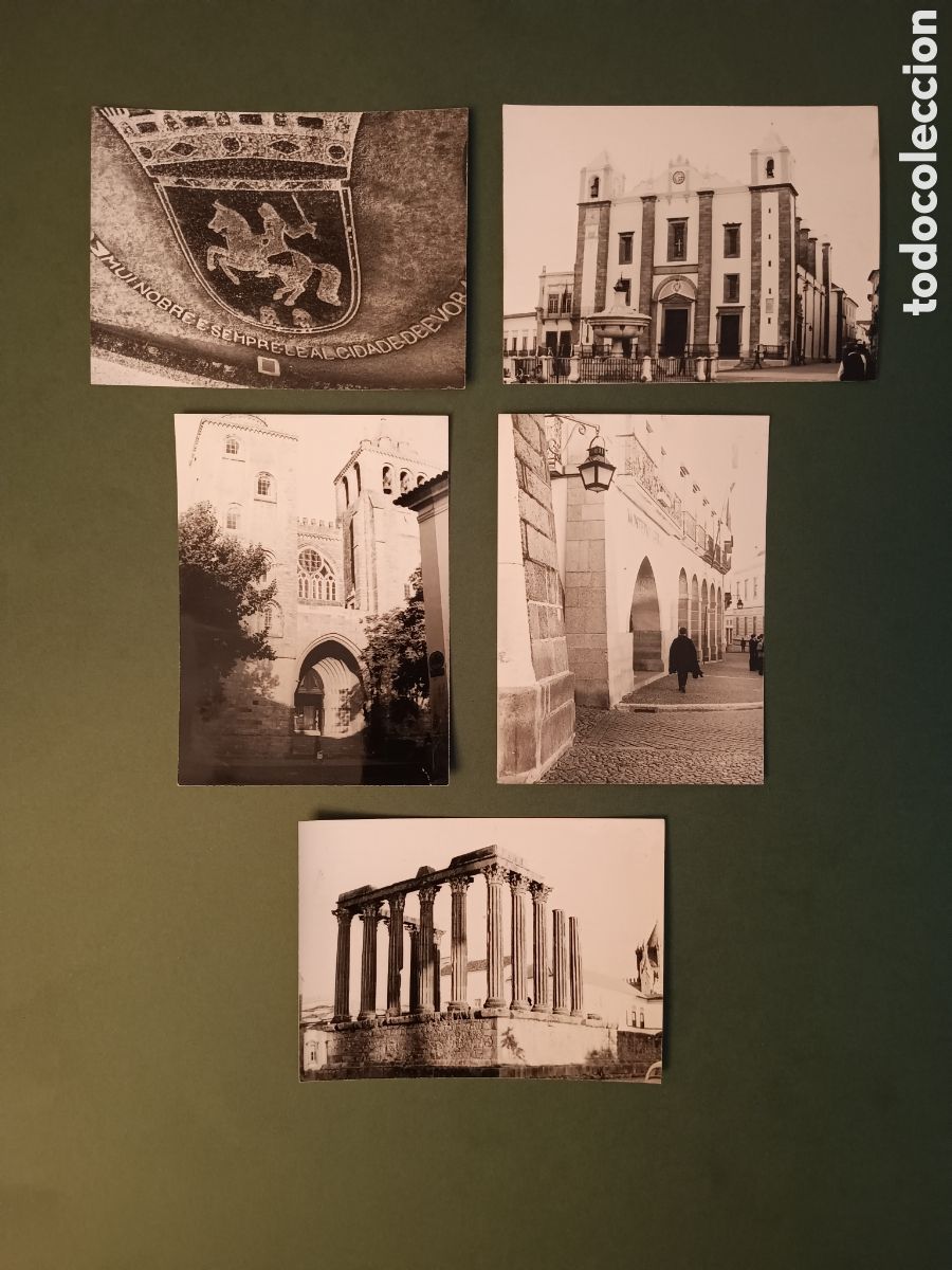 Antique Photography: 5 FOTOGRAF&Iacute;AS DE EVORA - A&Ntilde;OS 60 - 10,5x7,5cm aprox.