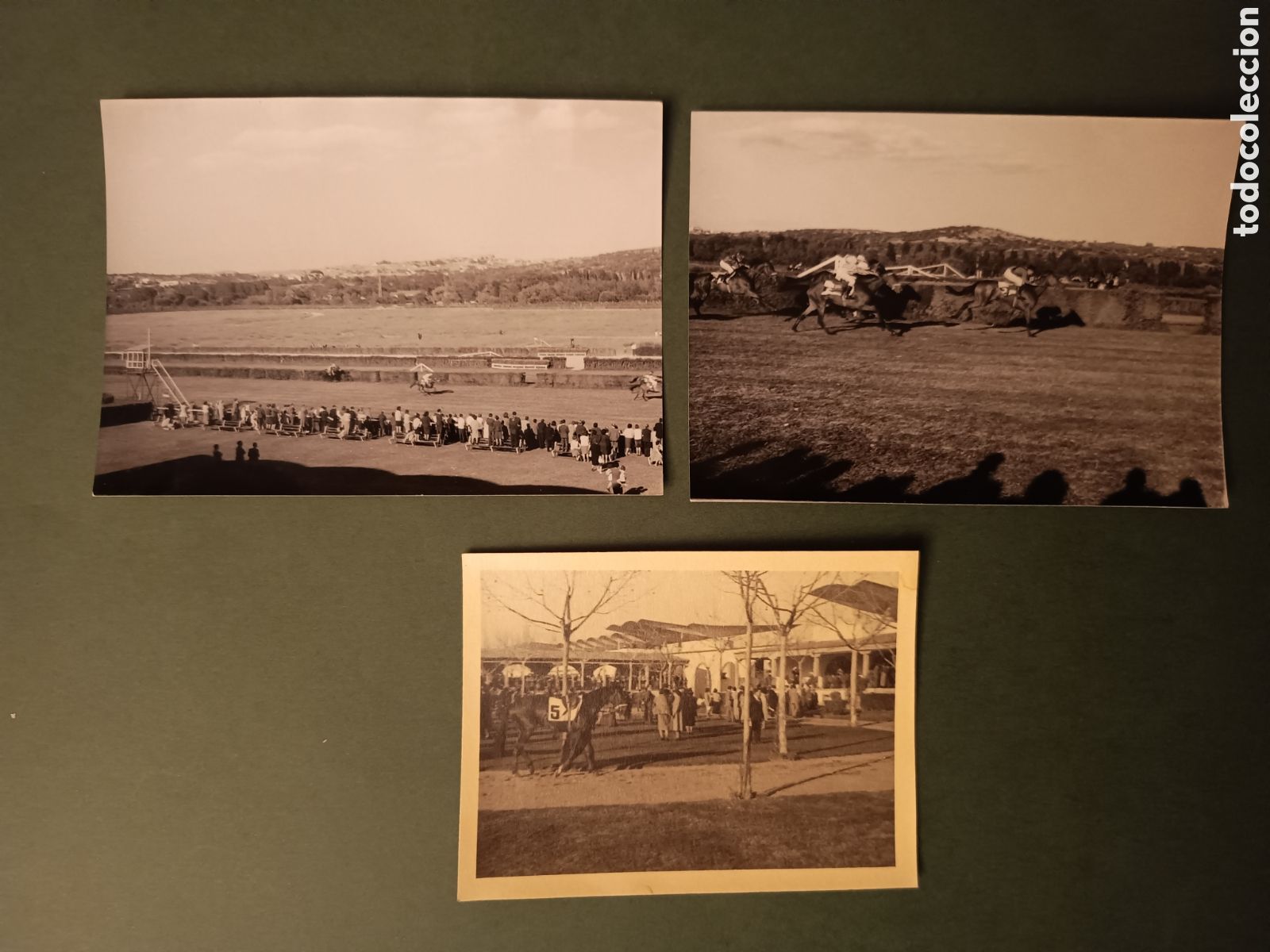 Fotografia antiga: 3 FOTOGRAF&Iacute;AS DEL HIP&Oacute;DROMO DE LA ZARZUELA - A&Ntilde;OS 60 - 10,5x7,5cm aprox.