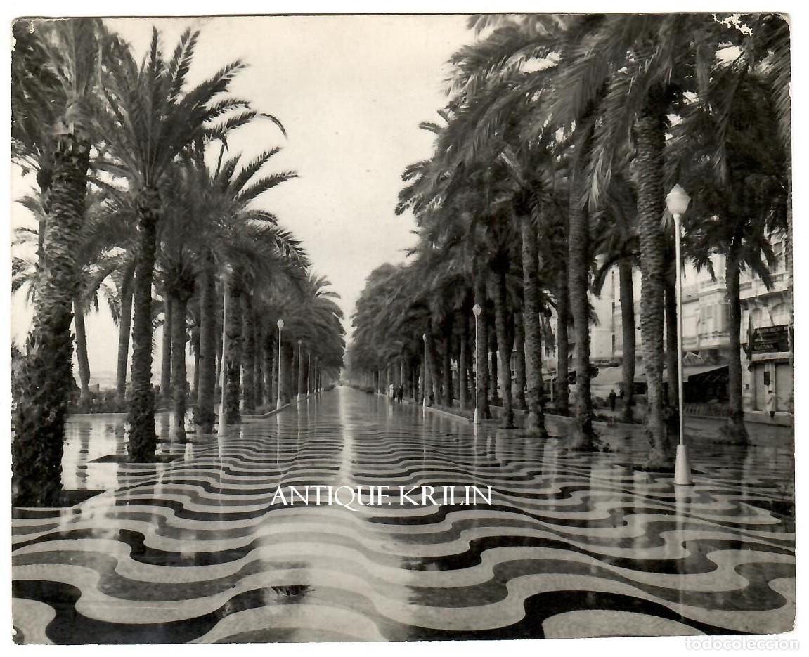 Fotograf&iacute;a antigua: ALICANTE / EXPLANADA DE ESPA&Ntilde;A / FOTO SANCHEZ / 14 X 11.5