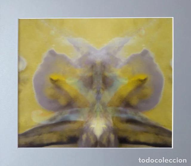 Fotograf&iacute;a antigua: Fotograf&iacute;a contempor&aacute;nea seriada