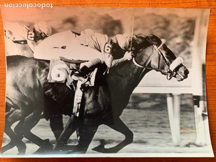Collectionnisme sportif: FOTOGRAFIA DEL JINETE ANGEL CORDERO GANANDO LA FAMOSA PRUEBA DE BELMONT. A&Ntilde;O 1978.