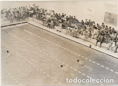 Coleccionismo deportivo: FOTOGRAFIA DE DEPORTES. SEVILLA. NATACION. A&Ntilde;O 1967.   FOTSEV-761