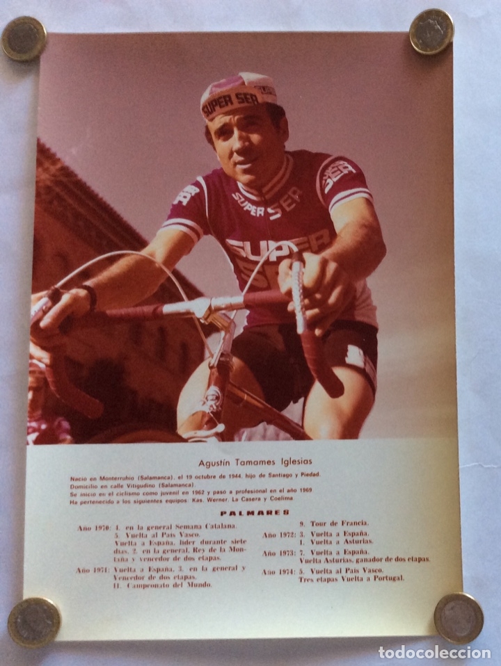 Coleccionismo deportivo: FOTOGRAF&Iacute;A CICLISMO. A&Ntilde;OS 70. CICLISTA AGUST&Iacute;N TAMAMES. EQUIPO SUPER SER. 20 x 29 CMS.