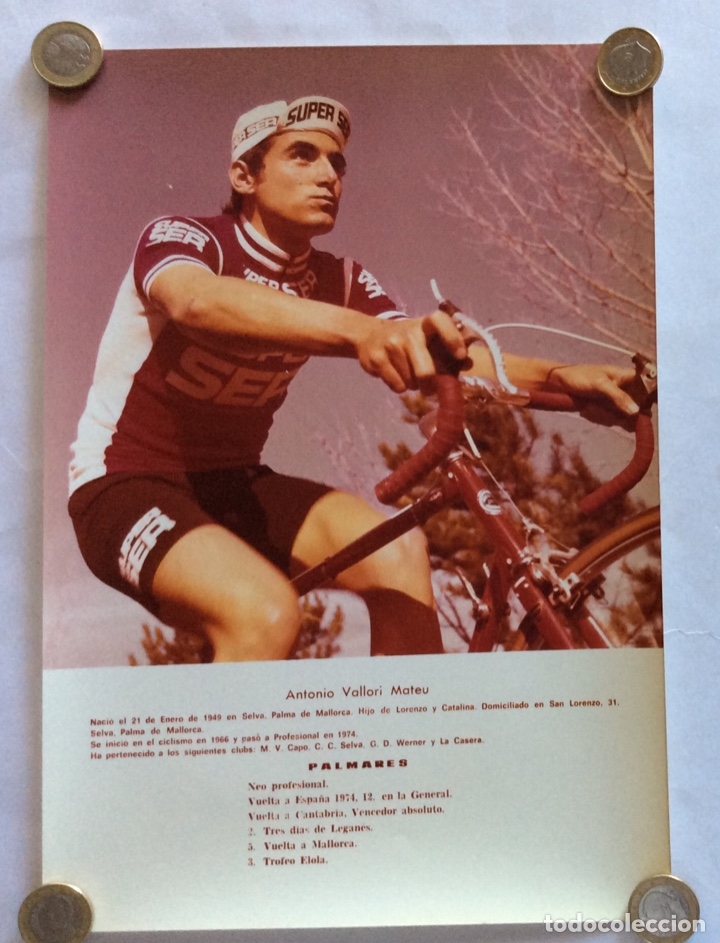 Coleccionismo deportivo: FOTOGRAF&Iacute;A CICLISMO. A&Ntilde;OS 70. CICLISTA ANTONIO VALLORI. EQUIPO SUPER SER. 20 x 29 CMS.