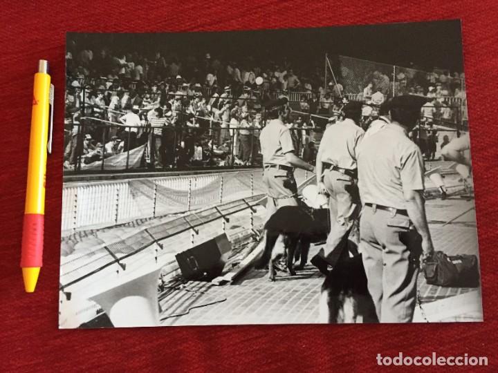 Coleccionismo deportivo: F19049 FOTO FOTOGRAFIA ORIGINAL MUNDIAL ESPA&Ntilde;A 82 1982 POLICIAS PERROS