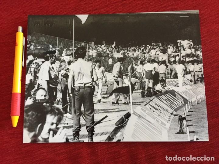 Coleccionismo deportivo: F19053 FOTO FOTOGRAFIA ORIGINAL MUNDIAL BELGICA 1-0 ARGENTINA (13-6-1982) INAUGURACION POLICIA