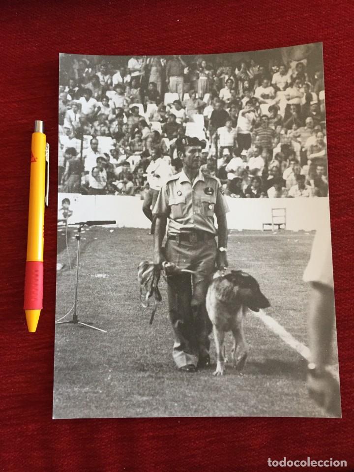 Coleccionismo deportivo: F19440 FOTO FOTOGRAFIA ORIGINAL MUNDIAL ESPA&Ntilde;A 82 1982 POLICIA PERRO