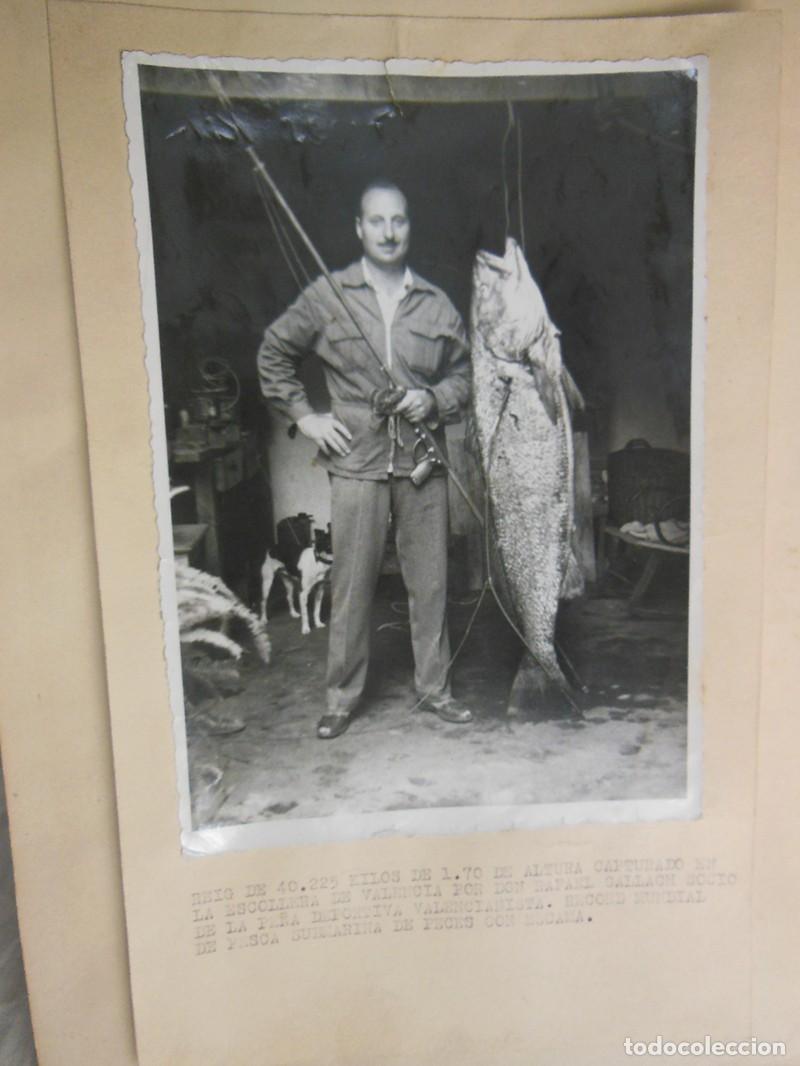 Colecionismo desportivo: REIG DE 40.225 Kilos de 1,70 de Altura capturado en la Escollera de Valencia por Rafael Gallach.