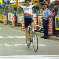 Coleccionismo deportivo: PEDRO DELGADO. GANADOR 19ª ETAPA TOUR DE FRANCIA 1987. FOTO